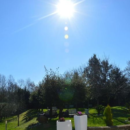 Villa Tenuta Terra Tefra à Conca della Campania Extérieur photo