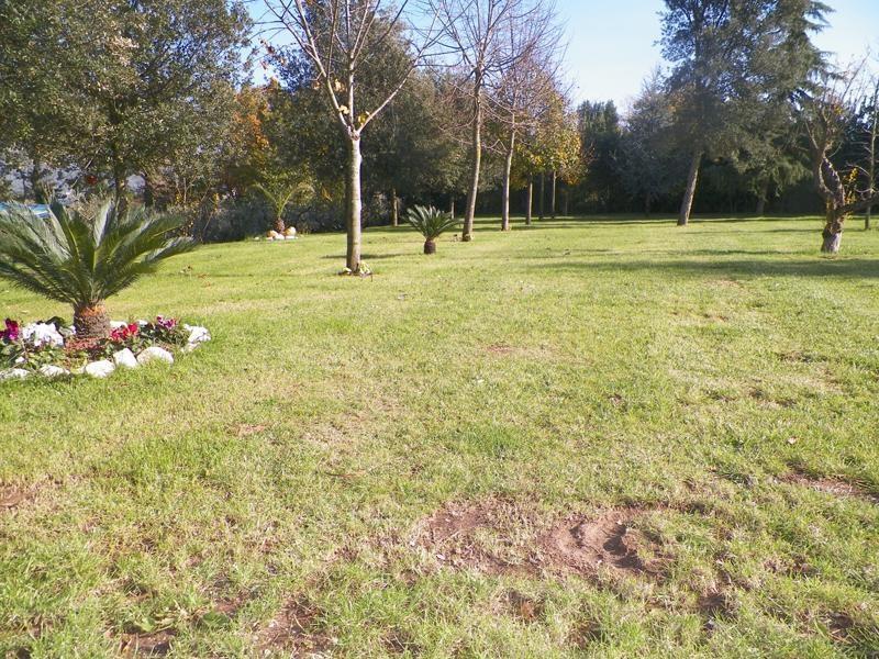 Villa Tenuta Terra Tefra à Conca della Campania Extérieur photo