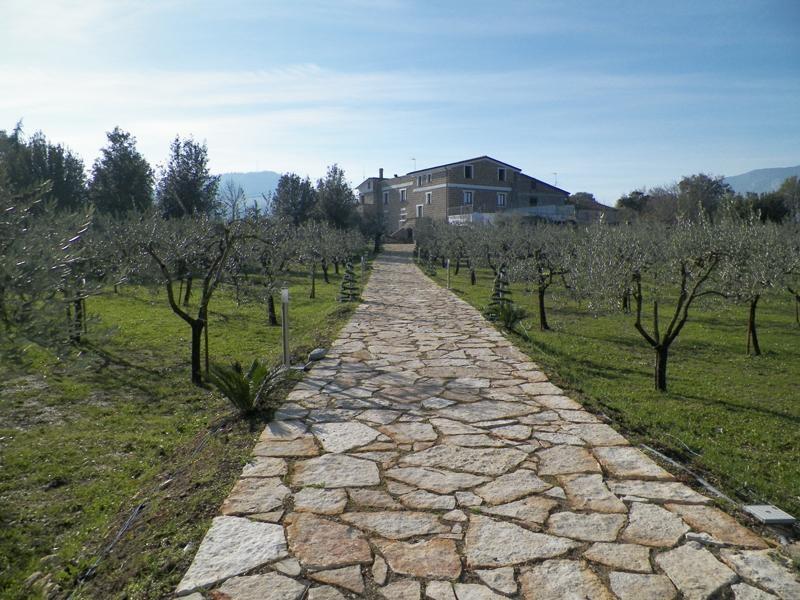 Villa Tenuta Terra Tefra à Conca della Campania Extérieur photo